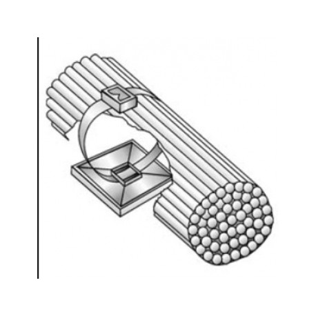 CIENTO BASE P/CINCHO 19MM BAC34 ANCLO