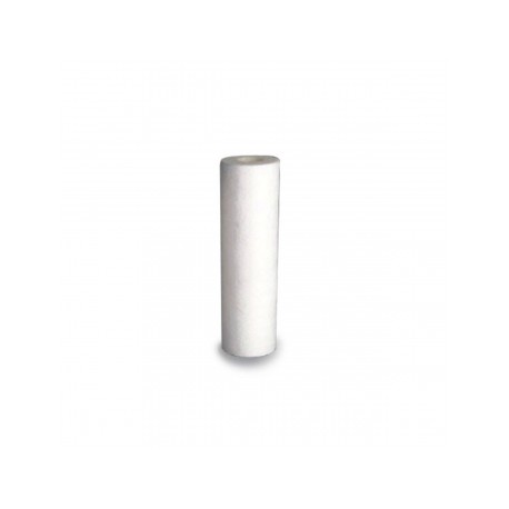 CART SEDIMENTO PP-10 MICRAS (P/FT-2) EVANS