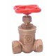 VALV COMP HUSKY ROSC F.22.13MM URREA